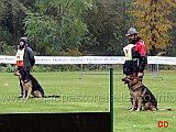 campionato-sas-obedience-classe-2