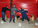 premiazione-agility-05