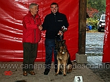 premiazione-agility-06