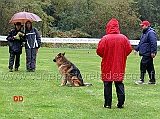 roberto-monachino-con-eiko-di-casa-mattia-classe-tre-03