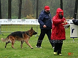 roberto-monachino-con-eiko-di-casa-mattia-classe-tre-11