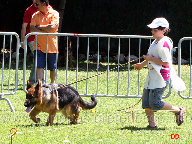 052.jpg - Classe baby maschi 5 Quast del Fiore Selvaggio