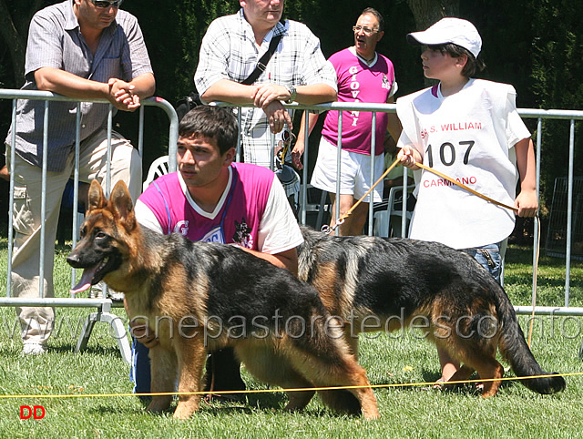 053.jpg - Classe baby maschi 4 Rover Godalis e 5 Quast del Fiore Selvaggio