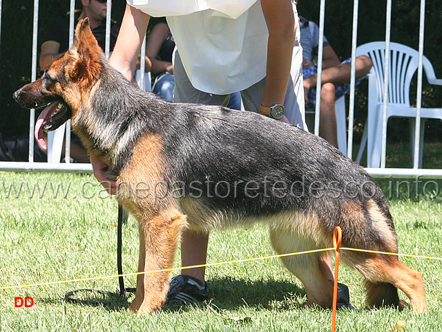 107.jpg - Classe Cucciolone femmine 2 Pania degli Japigi