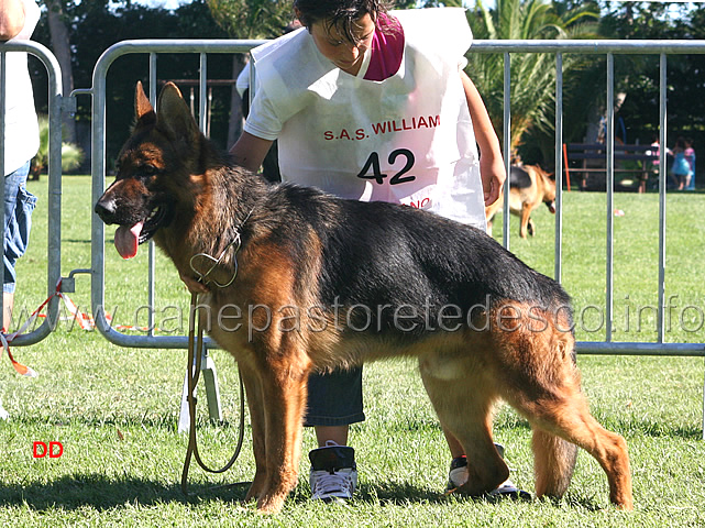 156.jpg - Giovanissimi maschi 7 Lauser dell'Isolotto