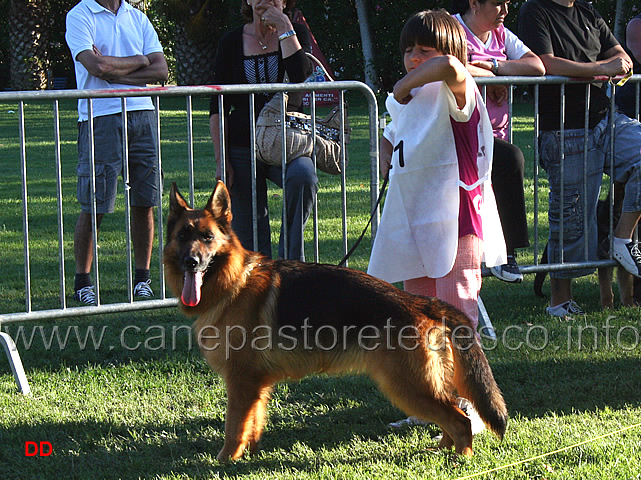 016.jpg - uff...che fatica presentare un'adulta femmina!!!