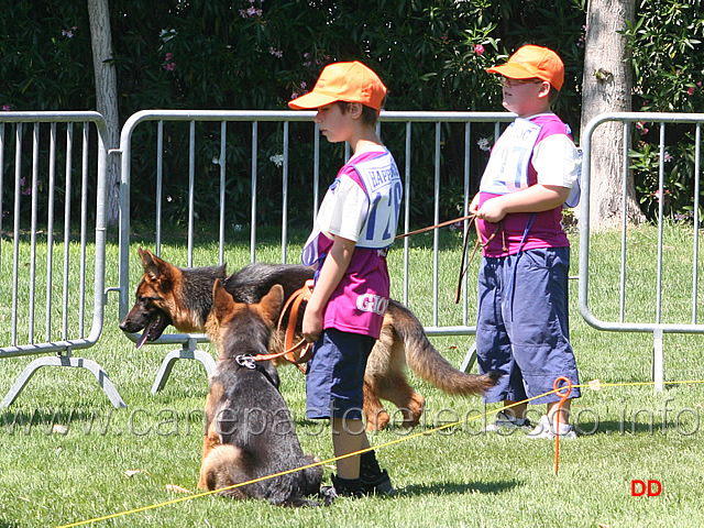 060.jpg - momento di relax in ring