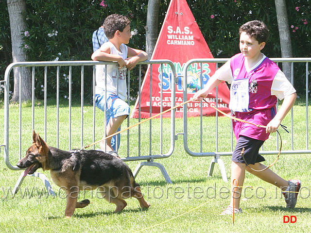 066.jpg - Marco Napoletano con la sua Unica al trotto