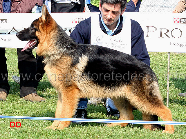 045.jpg - Classe Juniores maschi 3 MP Jeron Team Torretta