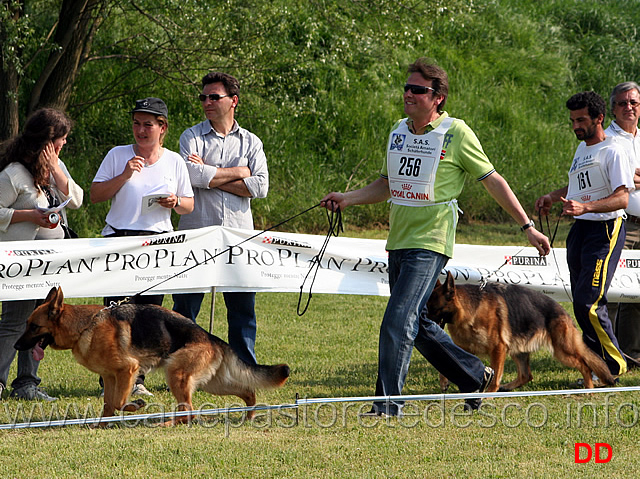 241.jpg - Classe Lavoro femmine Uva dei Lupi della Maddalena  e Birra Lucky Animals