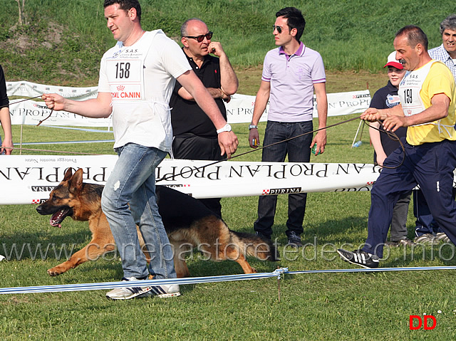 316.jpg - Classe Lavoro maschi Vando di Zenevredo