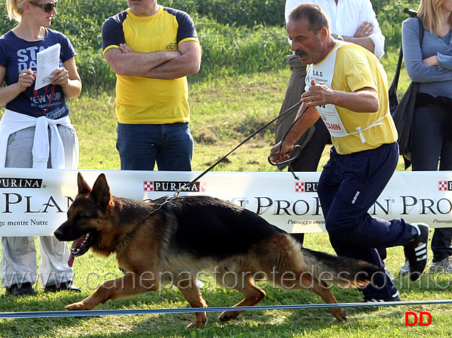 327.jpg - Classe Lavoro maschi Vando di Zenevredo