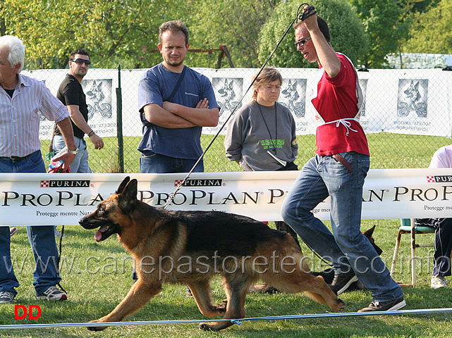 347.jpg - Classe Lavoro maschi  Xiro del Seprio