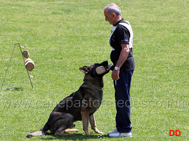 036.jpg - Franco Zappi con Eliott B punti 90 IPO3