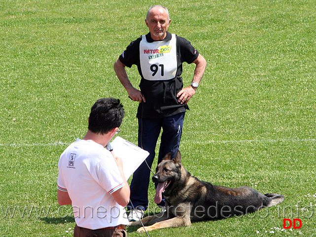 038.jpg - Franco Zappi con Eliott B punti 90 IPO3