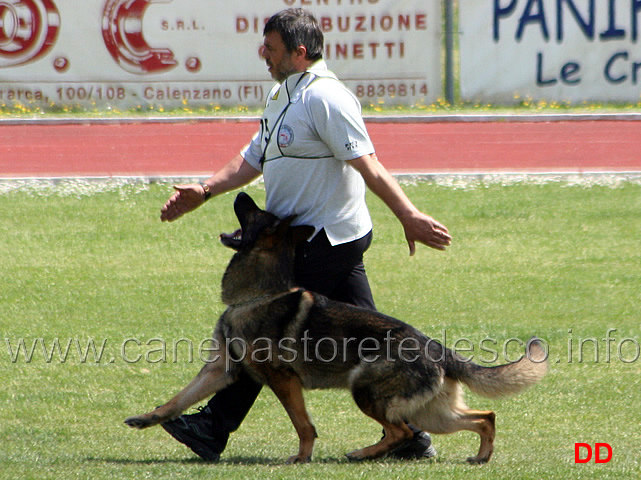 040.jpg - Giovanni Bruno con Querry di Oroval B 60 punti NQ IPO3