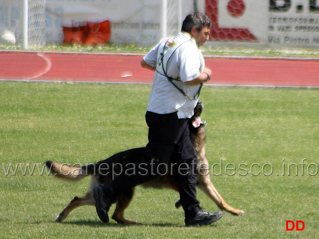 041.jpg - Giovanni Bruno con Querry di Oroval B 60 punti NQ IPO3