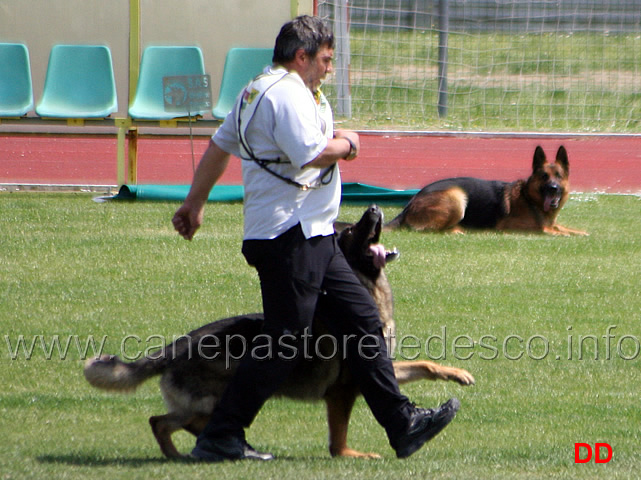 042.jpg - Giovanni Bruno con Querry di Oroval B 60 punti NQ IPO3