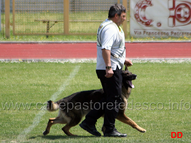 043.jpg - Giovanni Bruno con Querry di Oroval B 60 punti NQ IPO3