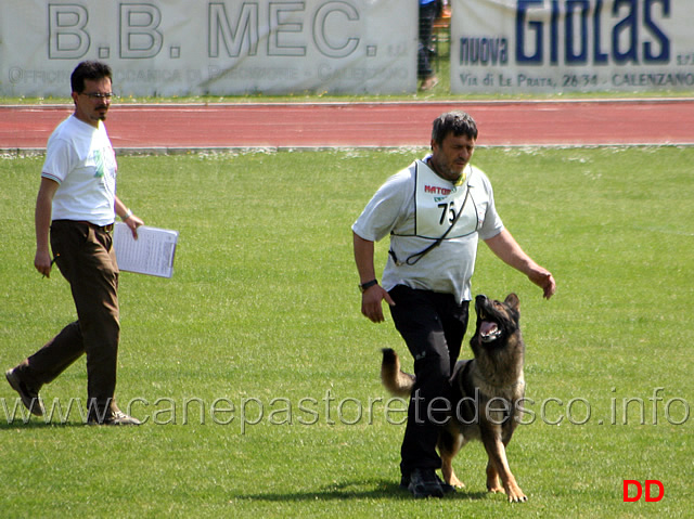 044.jpg - Giovanni Bruno con Querry di Oroval B 60 punti NQ IPO3