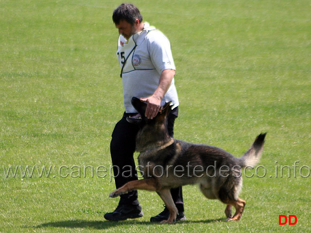 046.jpg - Giovanni Bruno con Querry di Oroval B 60 punti NQ IPO3