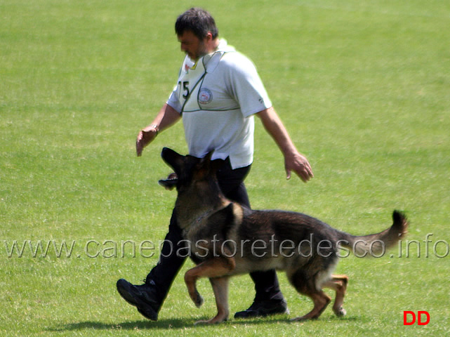 047.jpg - Giovanni Bruno con Querry di Oroval B 60 punti NQ IPO3