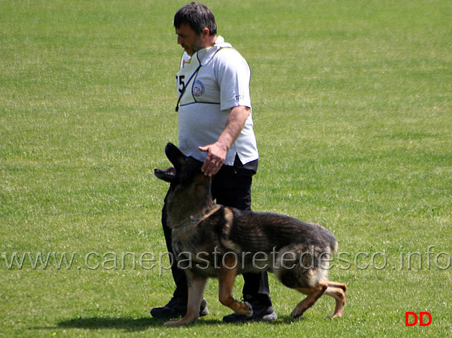 048.jpg - Giovanni Bruno con Querry di Oroval B 60 punti NQ IPO3