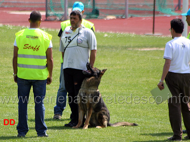 051.jpg - Giovanni Bruno con Querry di Oroval B 60 punti NQ IPO3