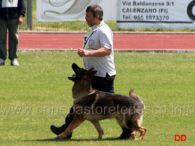 053.jpg - Giovanni Bruno con Querry di Oroval B 60 punti NQ IPO3