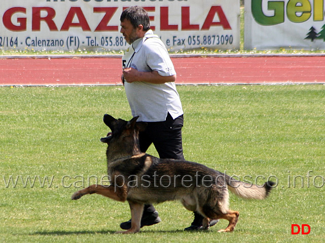 054.jpg - Giovanni Bruno con Querry di Oroval B 60 punti NQ IPO3