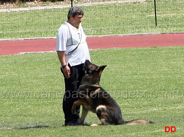 057.jpg - Giovanni Bruno con Querry di Oroval B 60 punti NQ IPO3