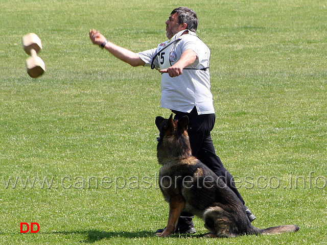 060.jpg - Giovanni Bruno con Querry di Oroval B 60 punti NQ IPO3