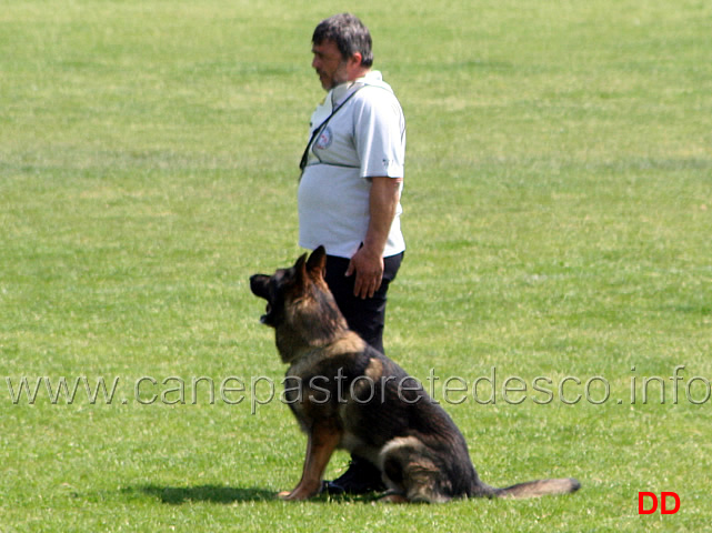 061.jpg - Giovanni Bruno con Querry di Oroval B 60 punti NQ IPO3