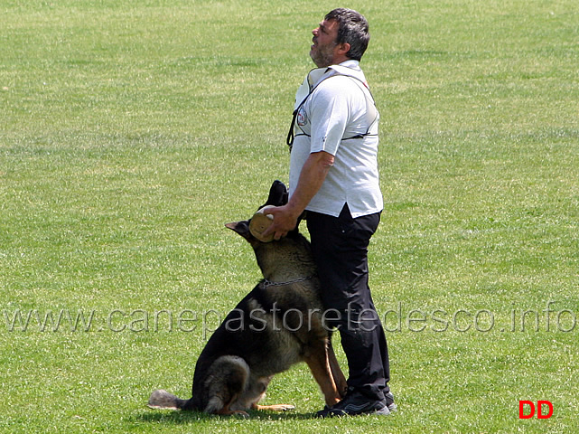 065.jpg - Giovanni Bruno con Querry di Oroval B 60 punti NQ IPO3