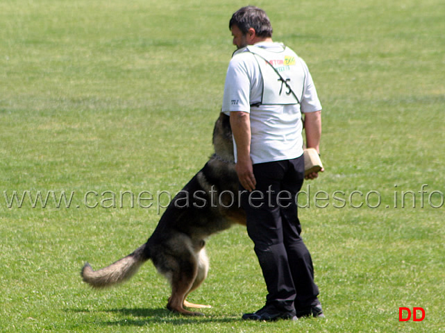 066.jpg - Giovanni Bruno con Querry di Oroval B 60 punti NQ IPO3