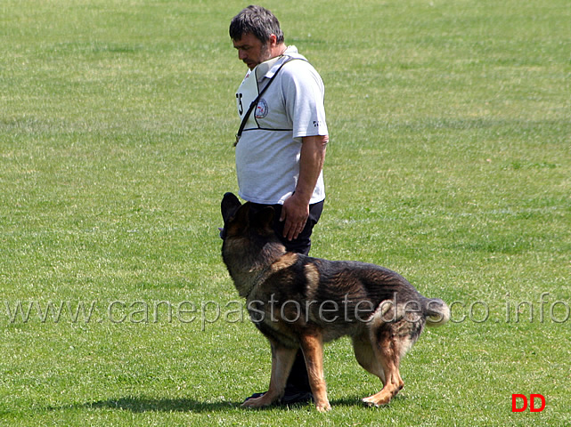 067.jpg - Giovanni Bruno con Querry di Oroval B 60 punti NQ IPO3