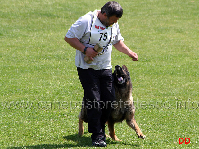 068.jpg - Giovanni Bruno con Querry di Oroval B 60 punti NQ IPO3