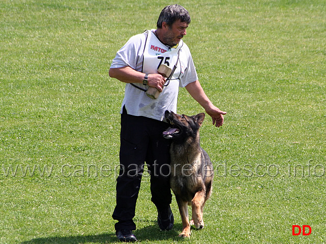 069.jpg - Giovanni Bruno con Querry di Oroval B 60 punti NQ IPO3