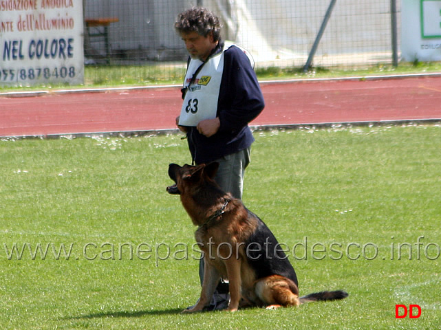 076.jpg - Marco Manzini con Artù di Casa Nappi IPO3 B Punti 80