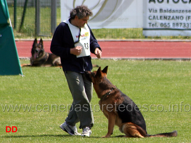 078.jpg - Marco Manzini con Artù di Casa Nappi IPO3 B Punti 80