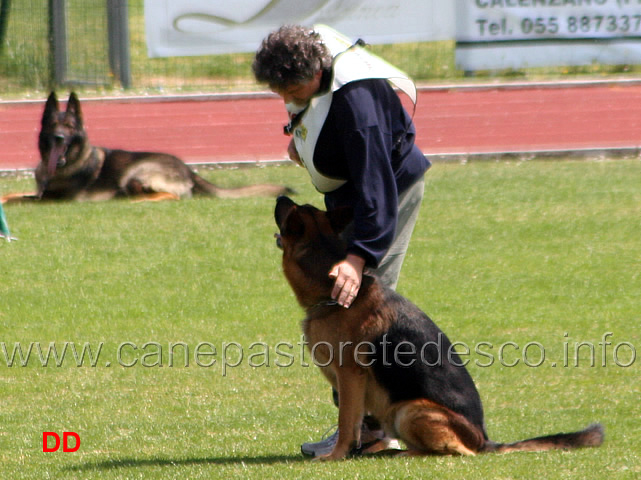 079.jpg - Marco Manzini con Artù di Casa Nappi IPO3 B Punti 80