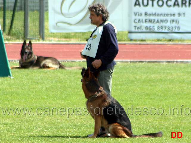 080.jpg - Marco Manzini con Artù di Casa Nappi IPO3 B Punti 80