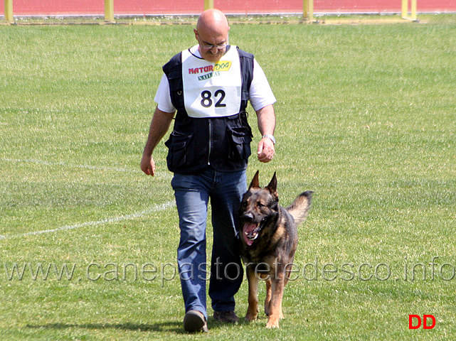 092.jpg - Roberto Delucchi con Gandi di Oroval IPO3 B punti 71