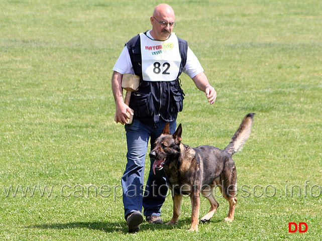 097.jpg - Roberto Delucchi con Gandi di Oroval IPO3 B punti 71