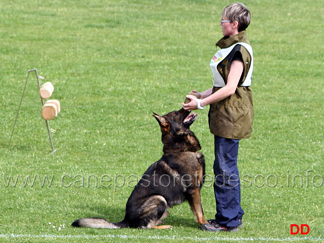 133.jpg - Laura Michelin con Challanger (detto Surak) IPO3 B punti 79