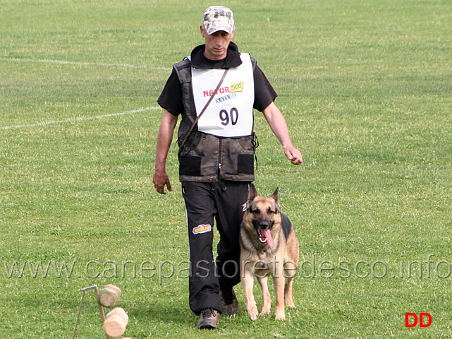 144.jpg - Luciano Moresi con Thico di Oroval IPO3 B punti 86