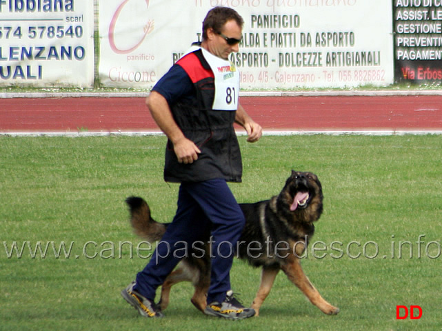 155.jpg - Giorgio Manuelli con Orry IPO3 B punti 82