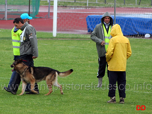 172.jpg - Francesco Frullani con Aiko IPO2 B 78 (quinto classificato)