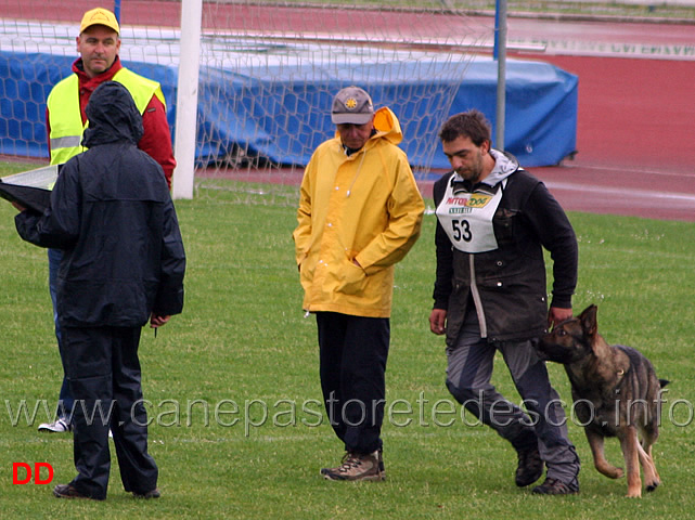 178.jpg - Giuseppe Spinello con Max di Casa Nosella IPO2 B punti 83 (quarto classificato)