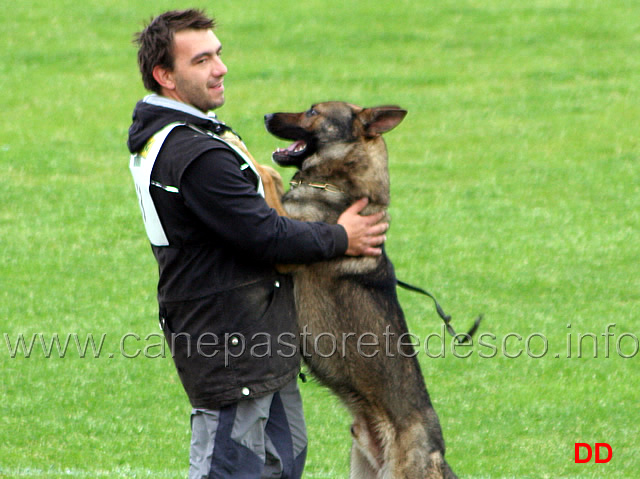 183.jpg - Giuseppe Spinello con Max di Casa Nosella IPO2 B punti 83 (quarto classificato)